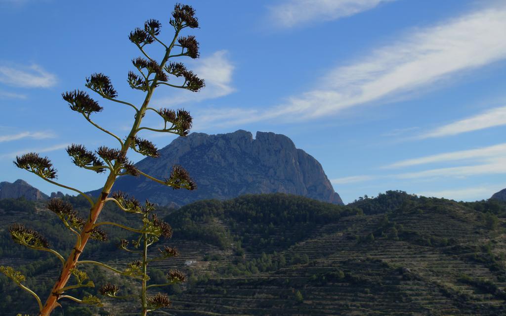 Alojamientos Turisticos Isa I Toni Sella Exteriér fotografie